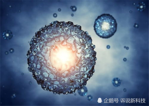 宇宙的隱秘走廊 多維空間與那些科學(xué)無法解釋的失蹤案